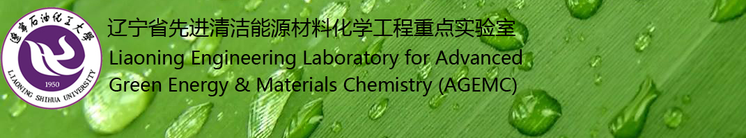 辽宁省先进清洁能源材料化学工程实验室